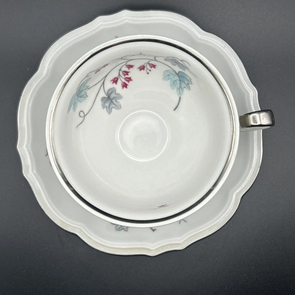 Vintage Baronet Floral Porcelain Tea Cup and Saucer Set With Silver Trim Japan